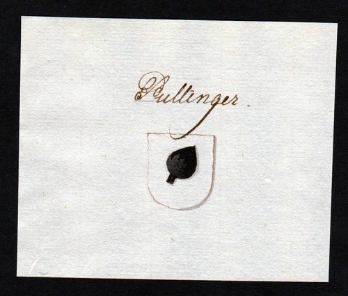 Pullinger manuskript - pullinger,