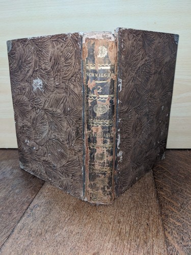 Antikes buch phlegmasien - buch,