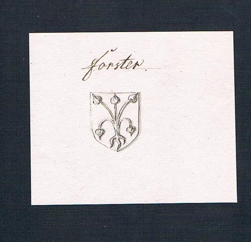 Forster handschrift - 18.,