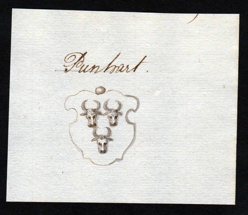 Punhart handschrift - jh.,