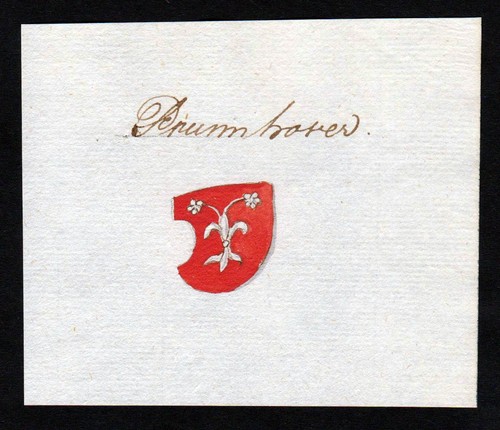 Prumhoven brunnhofen - jh.,